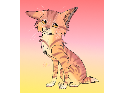 Sunsetkit / Sunsetpaw