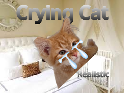 Crying Cat Realistic