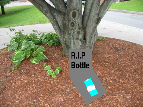 Bottle Flip Tragedy