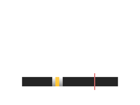 SkillCheck Simulation/Practice