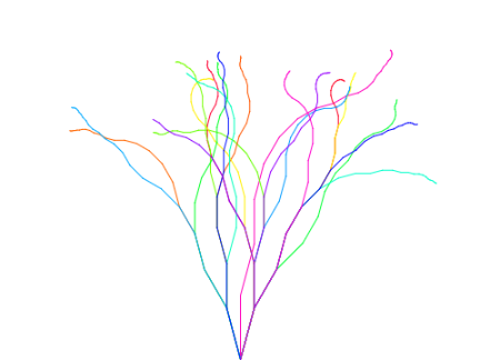 branch simulation
