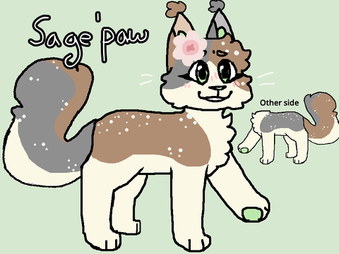 Silver stars RP characters|| RP oc Refs
