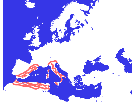 Roman-Carthaginian Republic