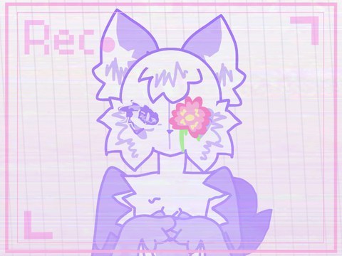 ⇱ ✦ krushed  ✦ ⇲ cce, Template :3