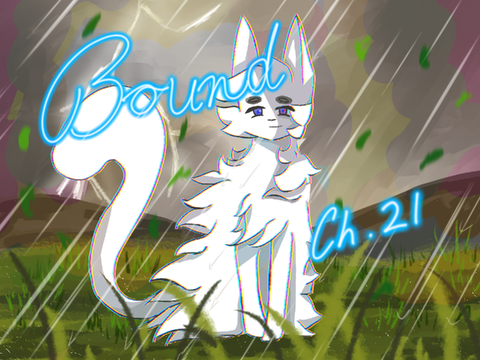 Bound Chapter 21 TN Contest entry