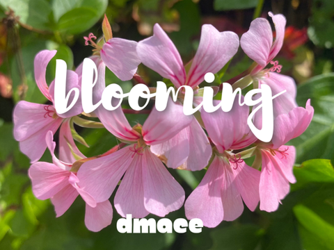 blooming - DMACE