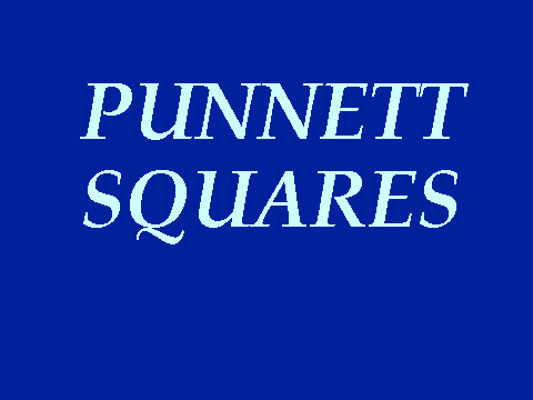 Punnett Squares