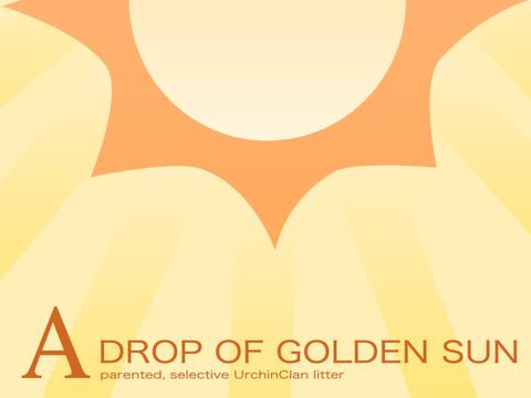 (CLOSED) ❊ A Drop of Golden Sun - P S UC Litter ❊