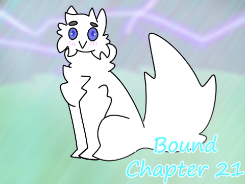 Bound Chapter 21 TNE(s)
