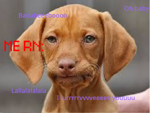 Teachers be like….
