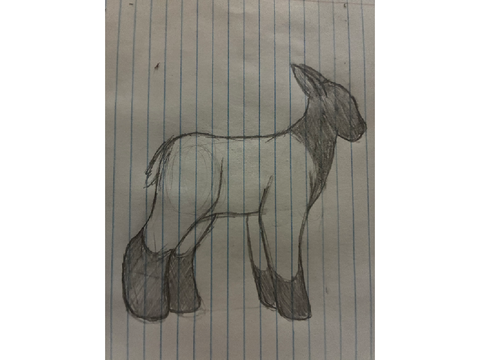 I drew a lamb :3