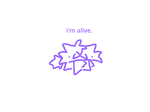 Updates About Inactivity 