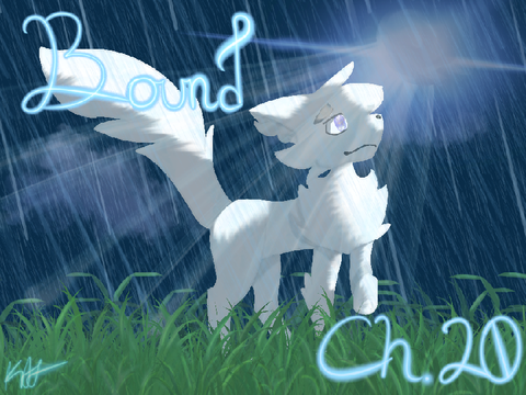 Bound Chapter 21 TNE