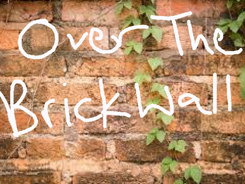 Over The Brick Wall ~ Chapter 5