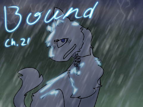 Bound Chapter 21 Entry