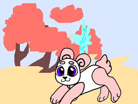 Bear run