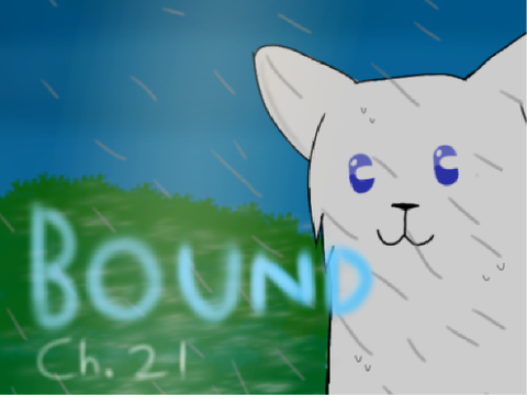 Bound Chapter 21 TN Contest entry