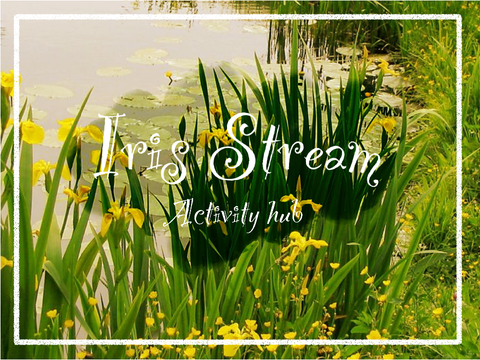 Iris Stream ᯽ Activity hub