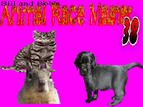 Animal Race Master 38
