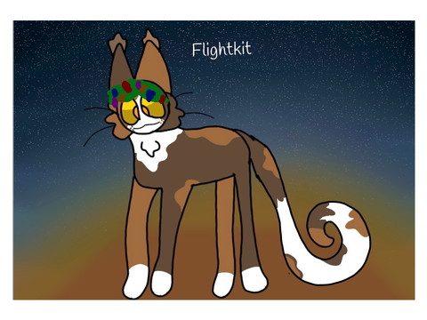 Flight’s perch ~ Gens bio