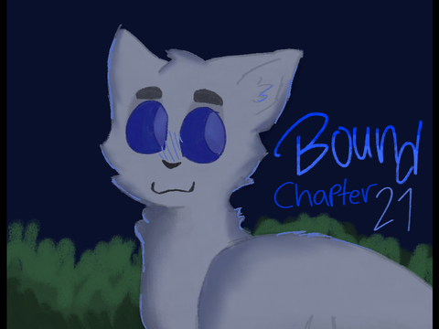 Bound Chapter 21 TN Contest remix