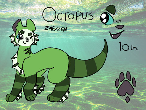 octopusmask's ocean
