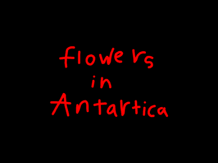 FLOWERS IN ANTARCTICA || FW! || MEME TEMPLATE