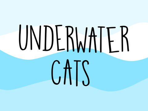 Underwater Cats