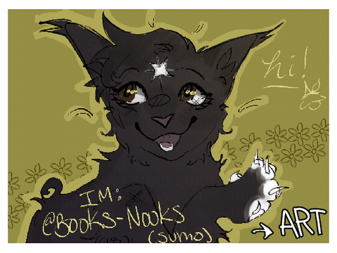 ୨⎯ "welcome to my profile / chatroom" ⎯୧