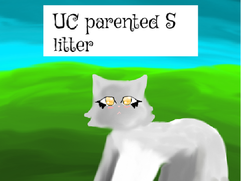  ࿐Lost at shore⁀➷ a semi-parented litter of UC
