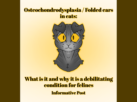 Osteochondrodysplasia / Folded ears in cats: PSA