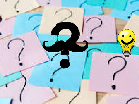 The questionnaire