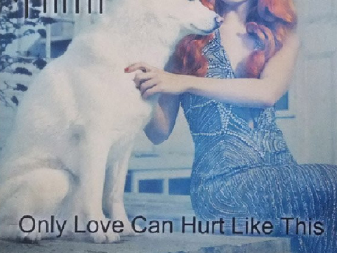 Only love can hurt like this accapella mini cover