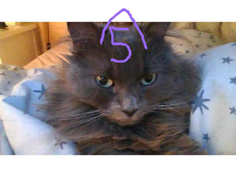 Kitty's B-day!!!!