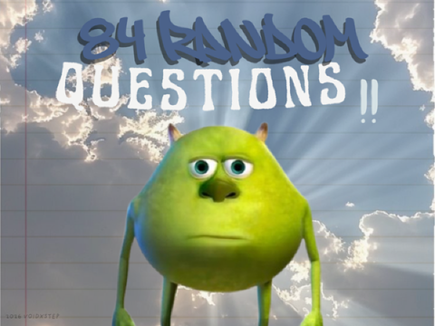 84 Random Questions !!! remix remix