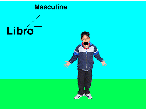 Feminine and Masculine words