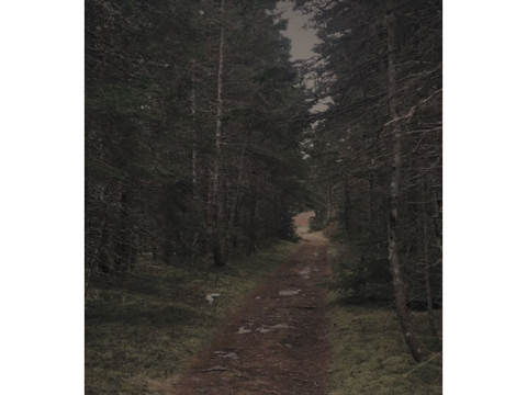 A theme i made for the Dementophobia Rp