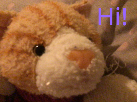 Friend me on Roblox!