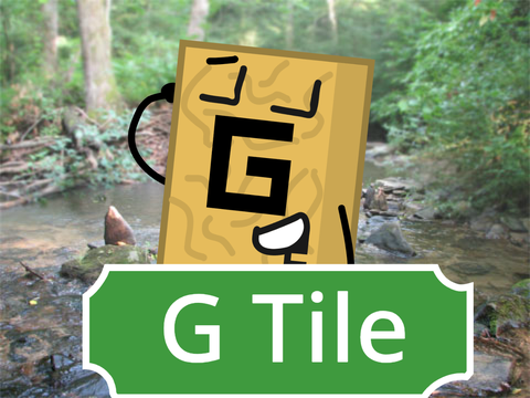 Meet G Tile!