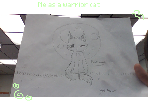 Me as a warrior cat 