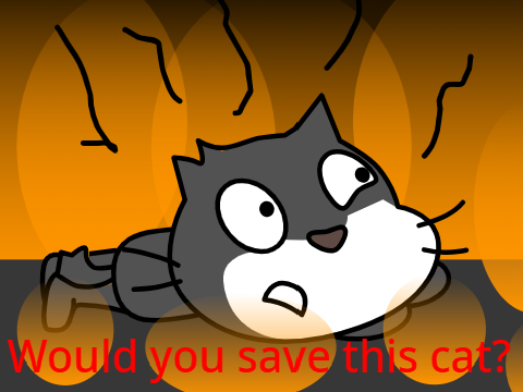 STOP ANIMAL HARM!