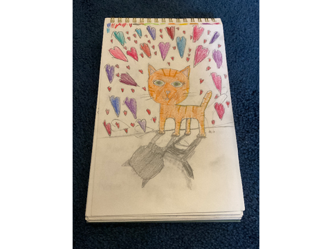 My entry