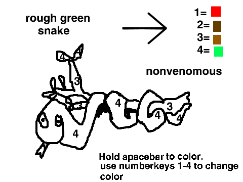 snake color