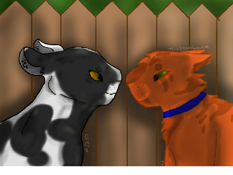 Tallstar and Jake
