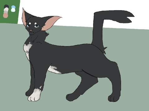 Stray OC Ref Sheet