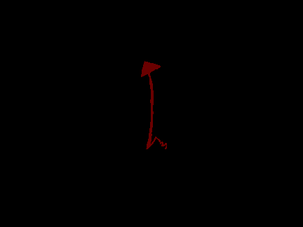 Animation