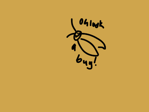 Cicada
