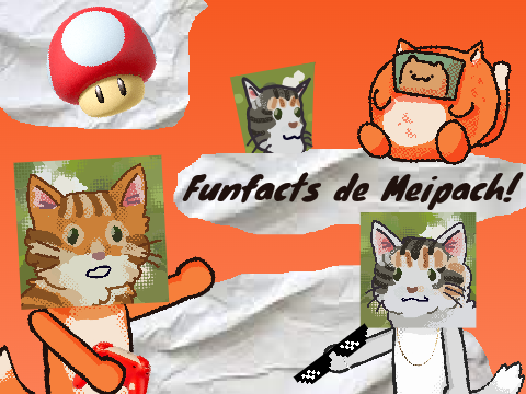 ¡Funfacts sobre Meipach!