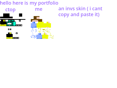 i will make you a minecraft skin in block bench