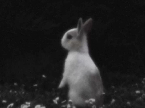  chtrm .｡⋆୨୧˚